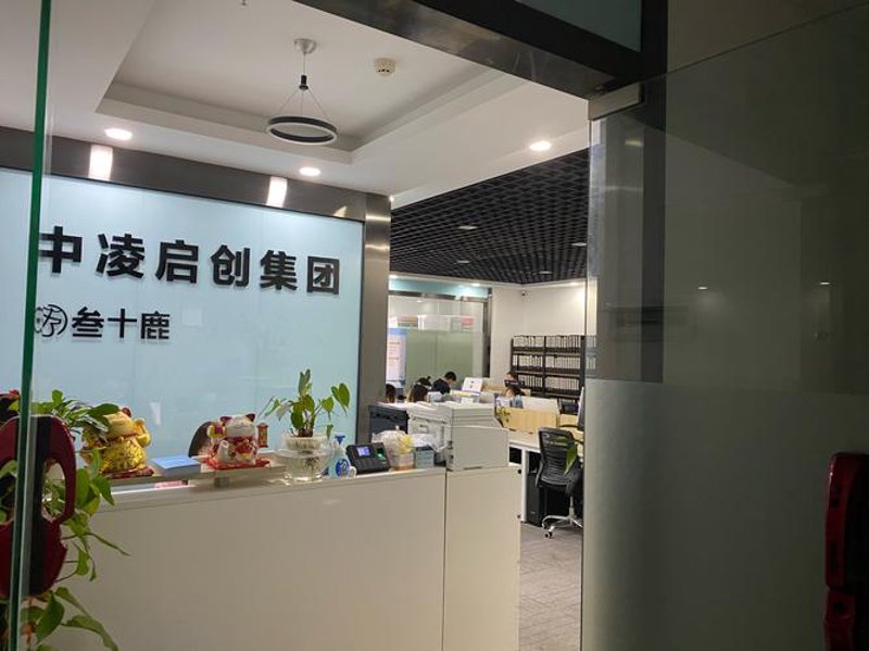 精准出击：媒体投放助力品牌焕新